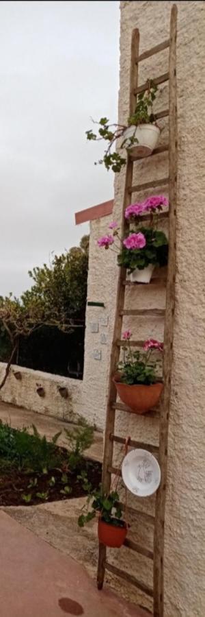 La Dimora Di Nonno Nuccio Hotel Ragusa Luaran gambar