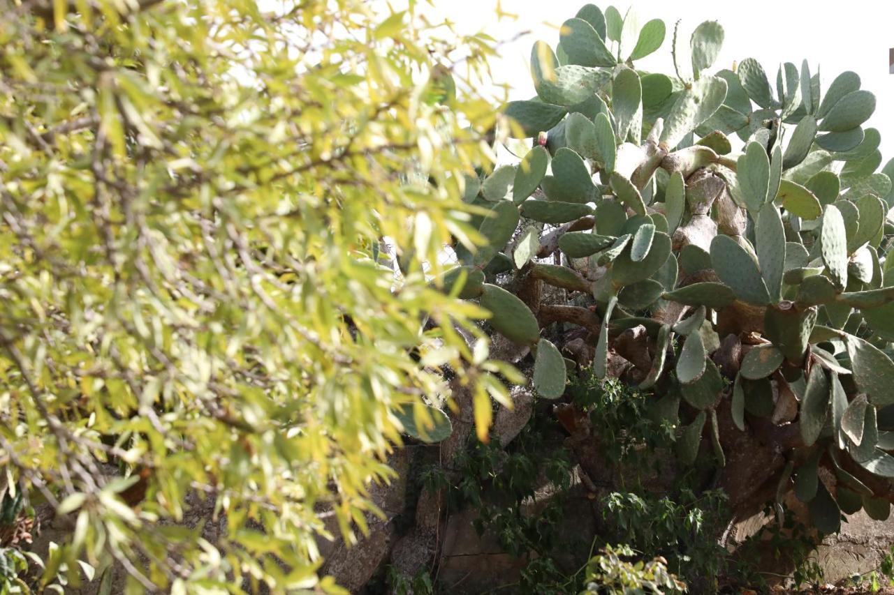 La Dimora Di Nonno Nuccio Hotel Ragusa Luaran gambar